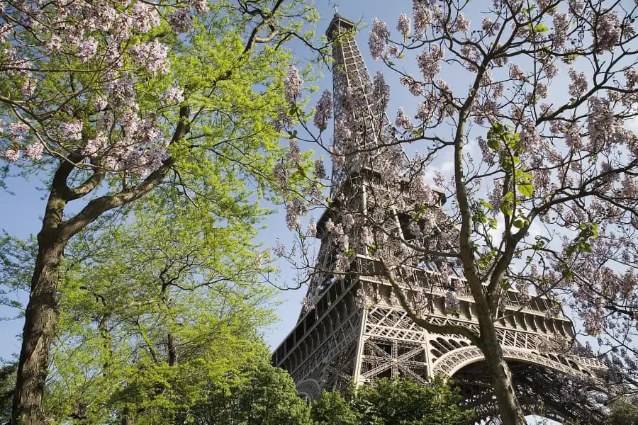 Eiffel Tower in Paris, France