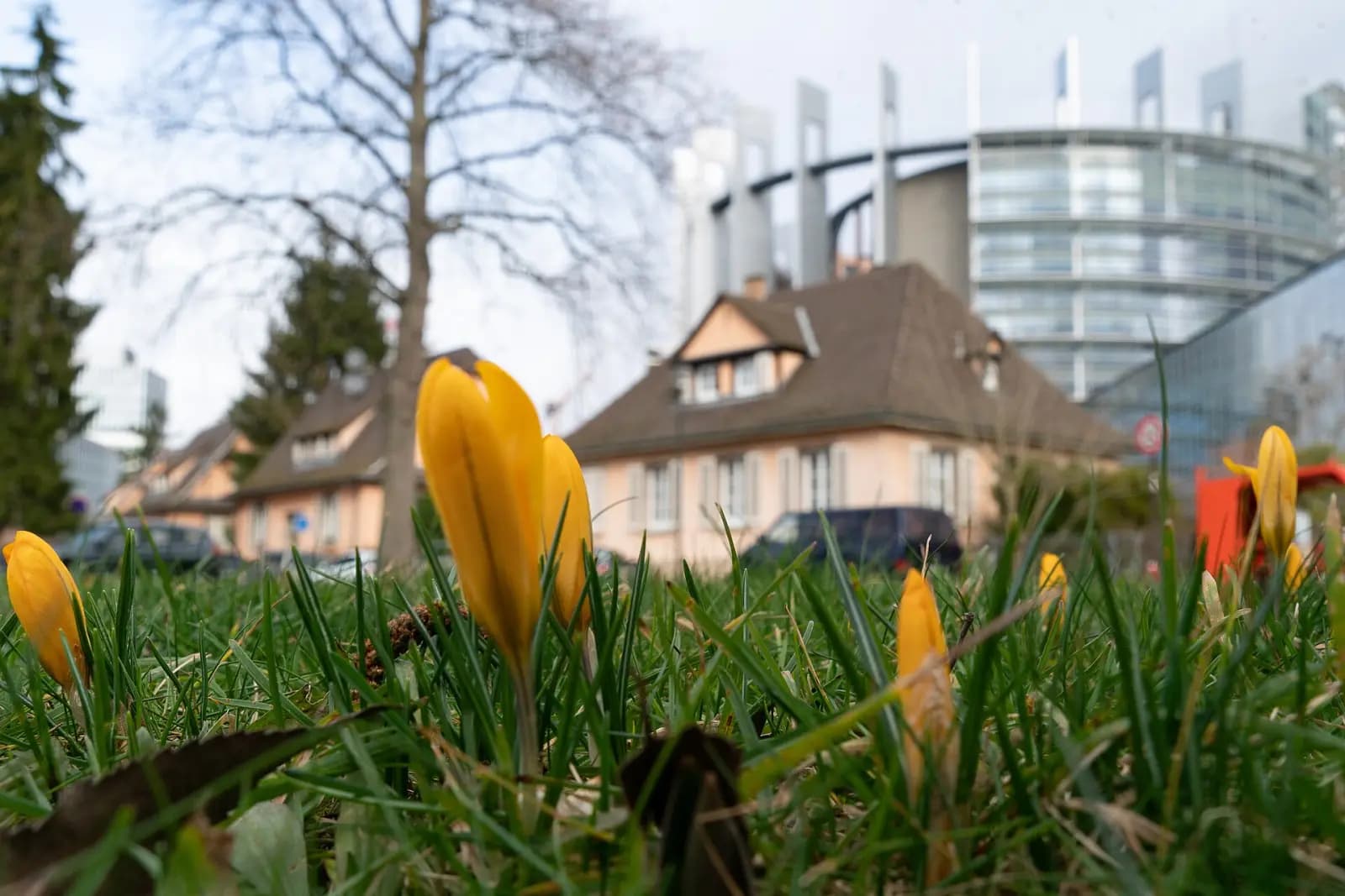 European Parliament in Strasbourg