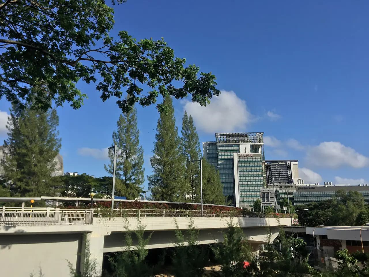 Kent Ridge campus of the National University of Singapore